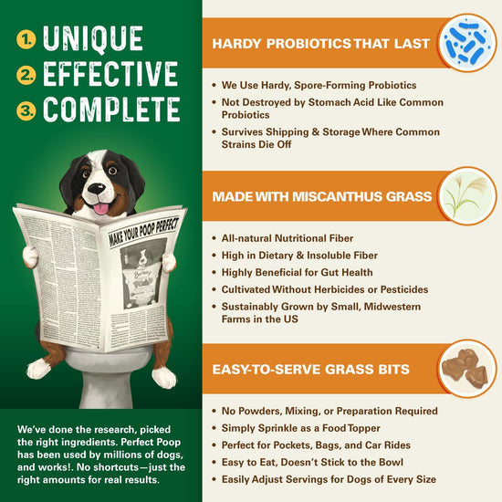 Animal nutritional supplement — Digestive health support for dogs with prebiotics and probiotics