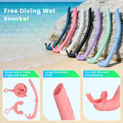 Snorkeling Gear for Adults, Snorkel Set Adult, Scuba Diving Mask, Panoramic View Anti-Leak Anti-Fog Dive Swimming Goggles Tempered Glass Panoramic Wide View Travel Portable Foldable