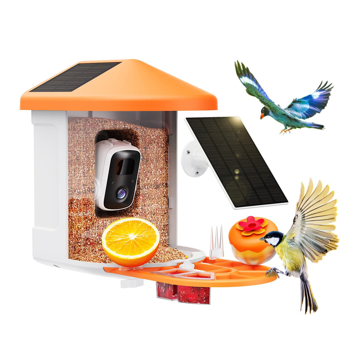 HARYMOR wildlife feeder — Bird feeder with camera and AI species identification