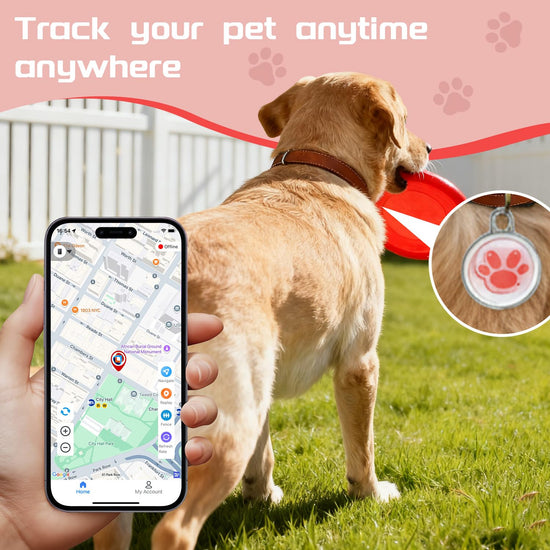 2026 Now GPS Tracker for Pet, No Monthly Fee & No SIM Card Needed | Real-Time Tracking for Dogs, Cats