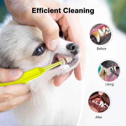 Dental Care Device, 3 Adjustable Modes, Waterproof, USB Rechargeable