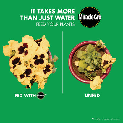 Miracle-GRO fertilizer — liquaFeed all purpose formula