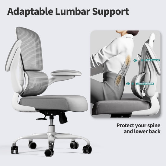 TRALT office chair — ergonomic chair with adjustable lumbar support