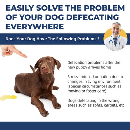 IYVLRLS Potty Training Spray for Dogs,Puppy Potty Training Spray,Address Canine Inappropriate Elimination Habits | Proven HousebreakiHousebreng Methods for Indoor & Outdoor Environments 7.05 Oz