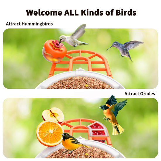 HARYMOR wildlife feeder — Bird feeder with camera and AI species identification