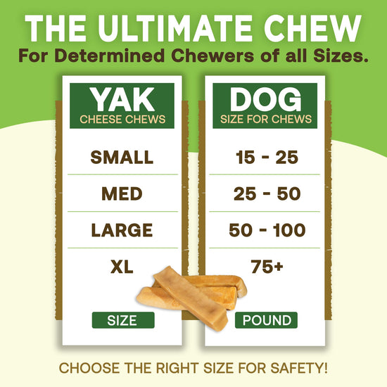 EcoKind Premium Yak cheese chew for large breed dogs, all natural and high protein.