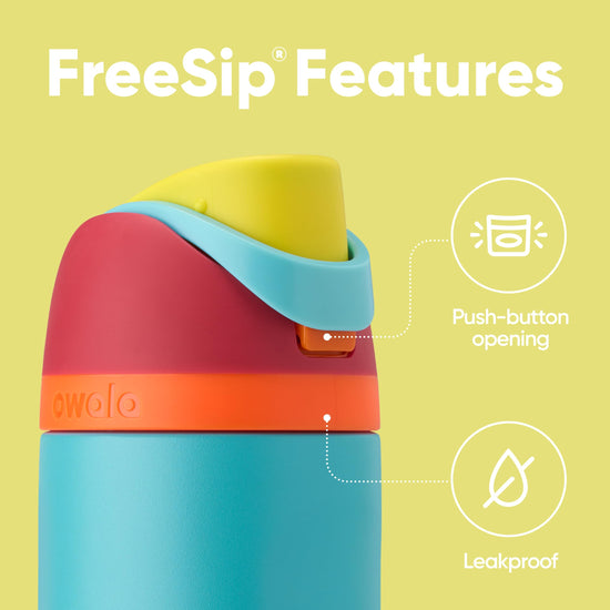 Owala FreeSip insulated stainless steel water bottle with straw, 24 oz capacity.
