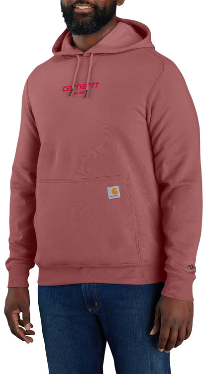 Carhartt sweatshirt — lightweight relaxed fit logo graphic design