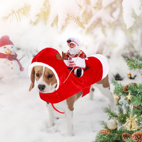 BWOGUE Santa dog costume — festive outfit for small to large pets