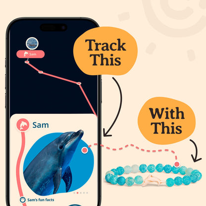 Fahlo dolphin tracking bracelet — supports FIU marine conservation