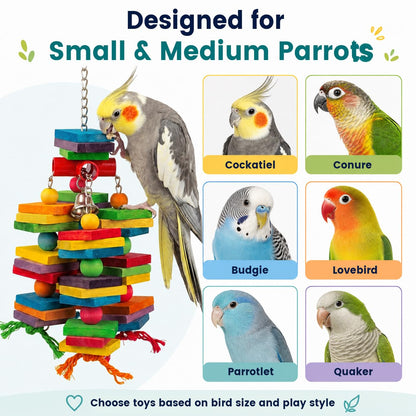 Bird Toys for Parrots, Natural Wood Bird Chewing Toy with Heavy-Duty Stainless Steel Chain for Small to Medium Parrot, Cockatiel, African Grey, Amazon Parrot, Conure Bird Cage Accessories - 1.2 lbs