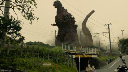 Shin Godzilla steelbook edition