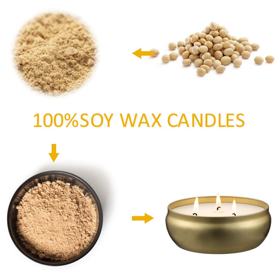 Tuyai Citronella Candles Outdoor and Indoor, 3 Pack 3-Wick Scented Candles Gift Set, Natural Soy Wax Candle