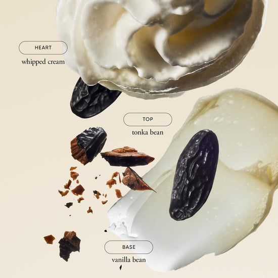 Personal fragrance — Philosophy fresh cream eau de toilette with vanilla and tonka bean notes
