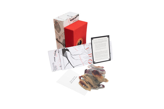 ABIS_BOOK — Deluxe illustrated edition of the Lord of the Rings by Tolkien