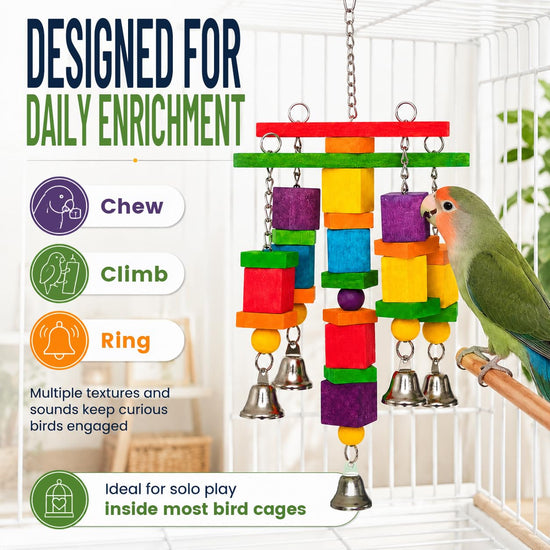 Zephyriel Bird Toys for Small to Medium Parrot, Natural Wooden Blocks with Bells, Stainless Steel Chain & Screw-Lock, Safe Shredding Parrot Toy for Conures, Cockatiels, Quakers, Parakeet