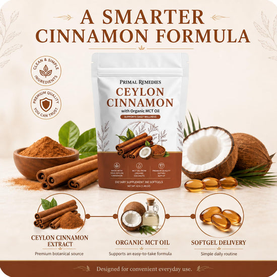 Primal Remedies Ceylon Cinnamon, 300 Softgels with Mct Oil, for Daily Wellness Routine (1PCS)