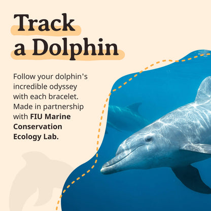 Fahlo dolphin tracking bracelet — supports FIU marine conservation
