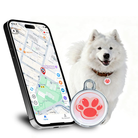 2026 Now GPS Tracker for Pet, No Monthly Fee & No SIM Card Needed | Real-Time Tracking for Dogs, Cats