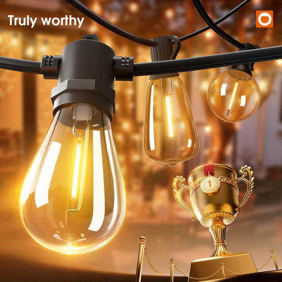 addlon string lights with LED bulbs
