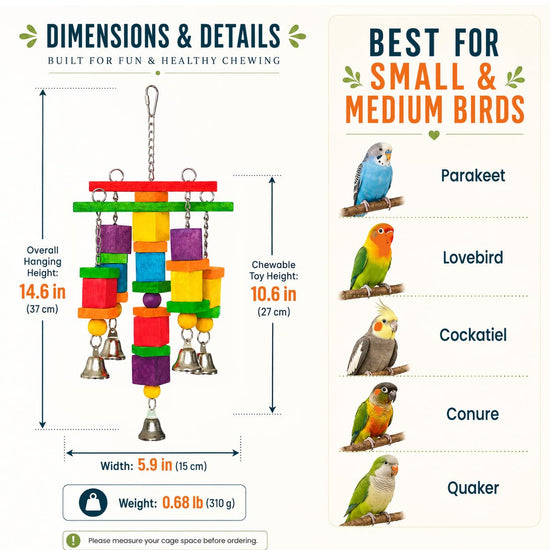 Zephyriel Bird Toys for Small to Medium Parrot, Natural Wooden Blocks with Bells, Stainless Steel Chain & Screw-Lock, Safe Shredding Parrot Toy for Conures, Cockatiels, Quakers, Parakeet