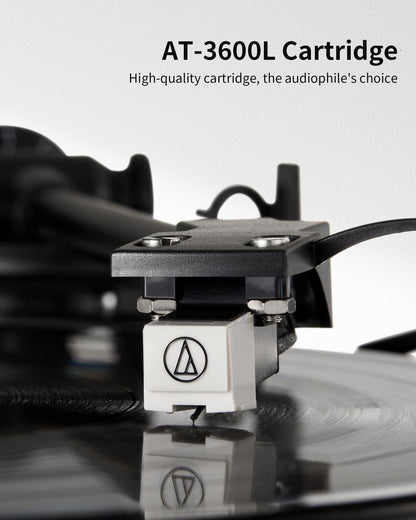 ANGELS HORN turntable with built-in phono preamp and bookshelf speakers