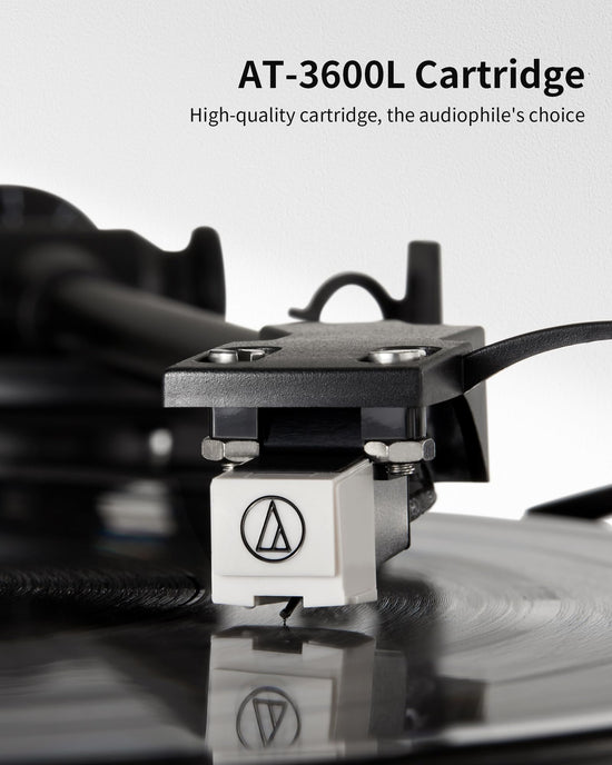 ANGELS HORN turntable with built-in phono preamp and bookshelf speakers
