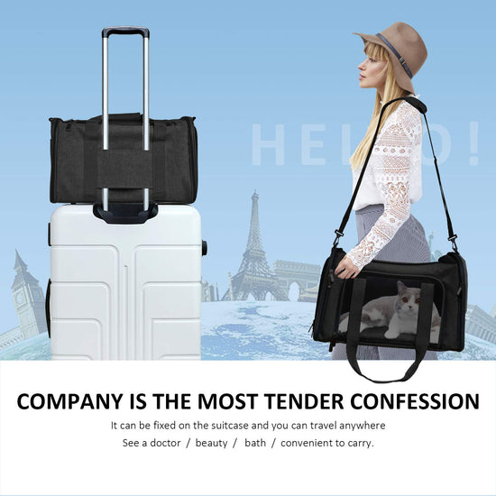 Henkelion animal carrier — TSA airline approved, soft sided design, collapsible
