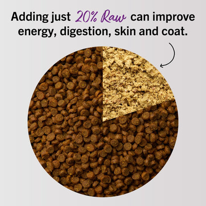 Stella & Chewy's freeze-dried raw cat dinner morsels — grain free and protein rich food