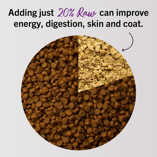 Stella & Chewy's freeze-dried raw cat dinner morsels — grain free and protein rich food