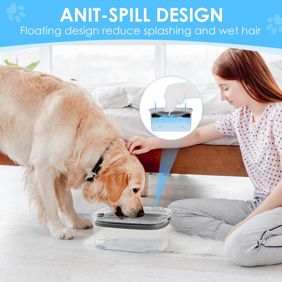 Pet feeder — Spill proof design for slow drinking dogs