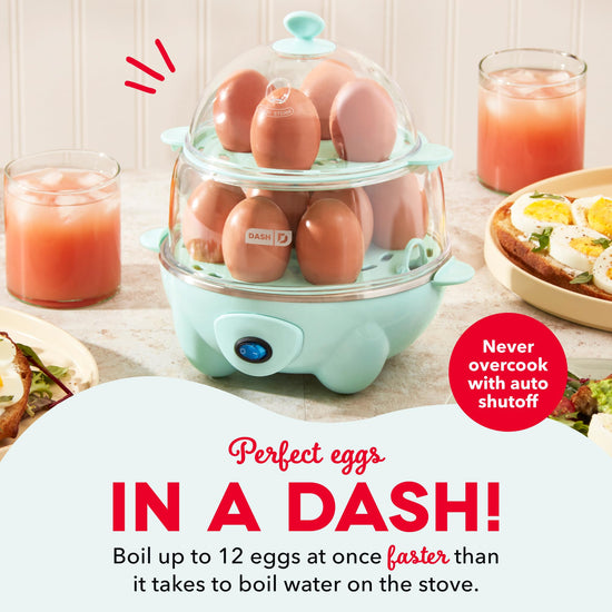 Dash countertop food steamer — deluxe rapid cooking technology
