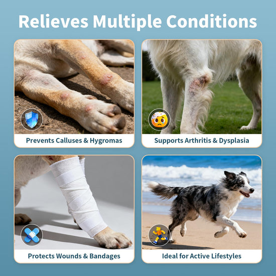 FurWell Dog Elbow Brace Protector with Decoupled Chest Strap - Breathable, Abrasion-Resistant - Adjustable Elbow Support for Hygroma, Dysplasia, Arthritis, Calluses & Shoulder Instabilit(Left Leg, L)