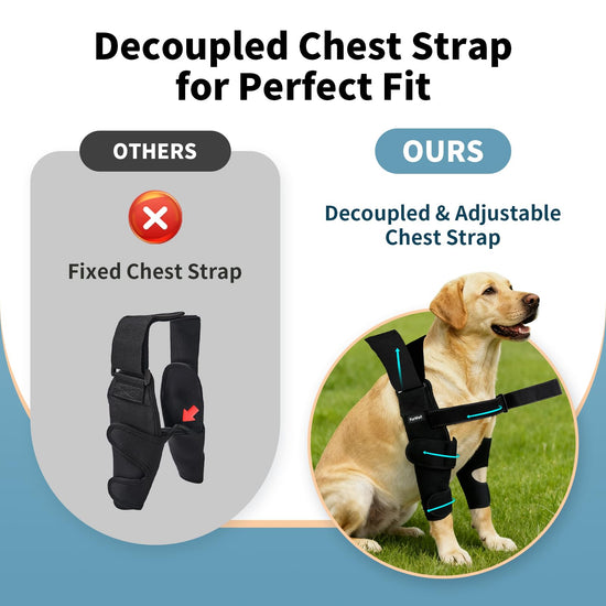 FurWell Dog Elbow Brace Protector with Decoupled Chest Strap - Breathable, Abrasion-Resistant - Adjustable Elbow Support for Hygroma, Dysplasia, Arthritis, Calluses & Shoulder Instabilit(Left Leg, L)