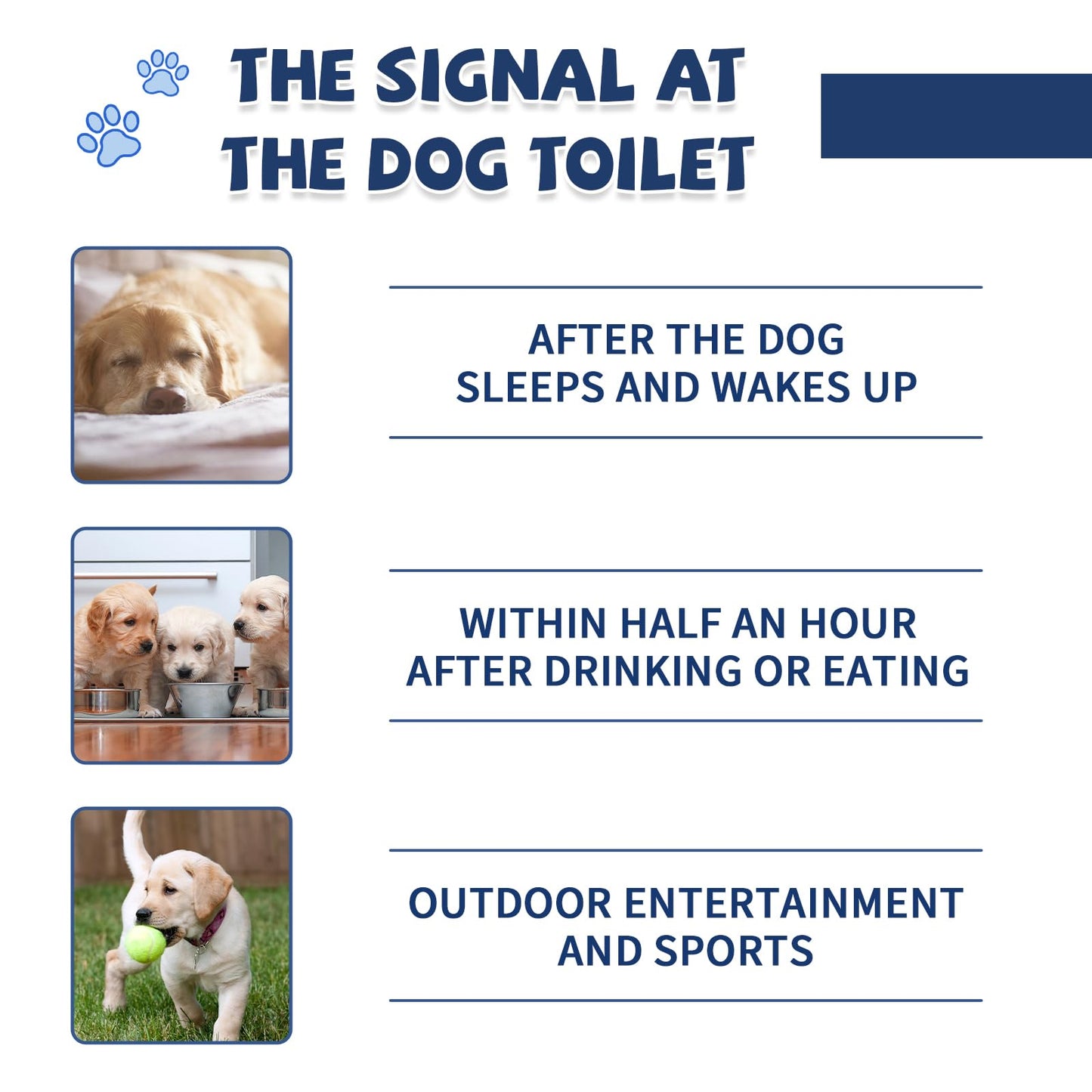 IYVLRLS Potty Training Spray for Dogs,Puppy Potty Training Spray,Address Canine Inappropriate Elimination Habits | Proven HousebreakiHousebreng Methods for Indoor & Outdoor Environments 7.05 Oz