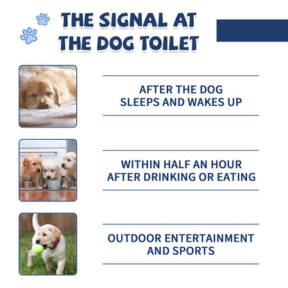 IYVLRLS Potty Training Spray for Dogs,Puppy Potty Training Spray,Address Canine Inappropriate Elimination Habits | Proven HousebreakiHousebreng Methods for Indoor & Outdoor Environments 7.05 Oz