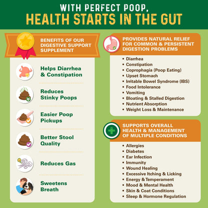Animal nutritional supplement — Digestive health support for dogs with prebiotics and probiotics