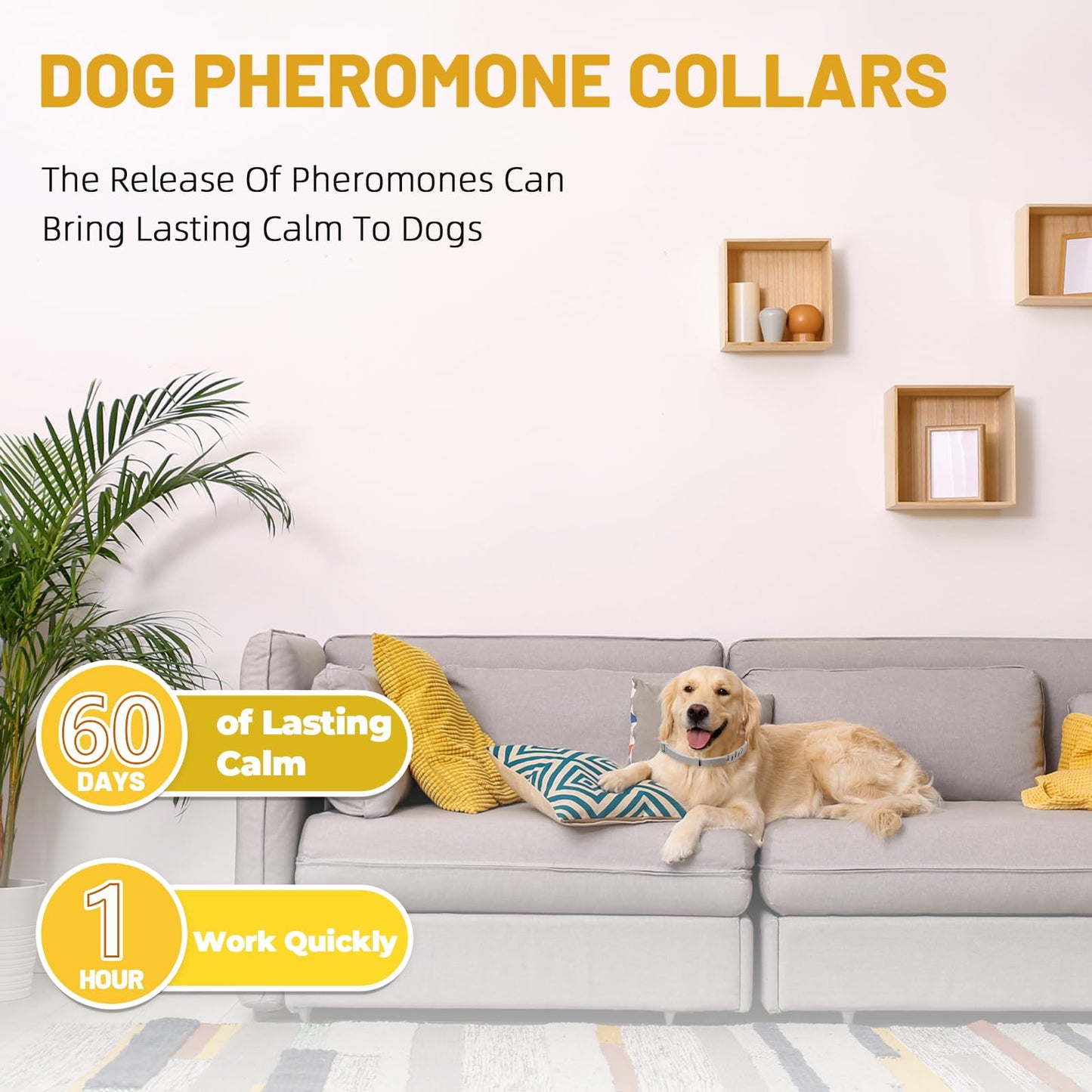 Calming Collar For Dogs 4 Packs, Effectively Relieves Anxiety from Noise, Separation, New environment, Fireworks, Adjustable 25” Flexible, Lasts 60 Days, Purple, Suitable for All Dog Sizes & Ages