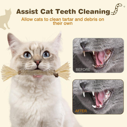 SINROBO 4 Pack Silvervine Sticks for Cats - Cat Chew Toy for Teeth Cleaning, Edible Matatabi Kitty Chew Sticks, Catnip Cat Toys for Indoor Cats (4 Sticks)