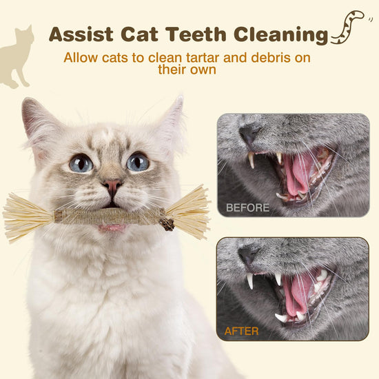 SINROBO 4 Pack Silvervine Sticks for Cats - Cat Chew Toy for Teeth Cleaning, Edible Matatabi Kitty Chew Sticks, Catnip Cat Toys for Indoor Cats (4 Sticks)