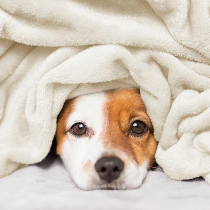 Hansleep flannel fleece throw blanket — super soft fluffy plush for all seasons