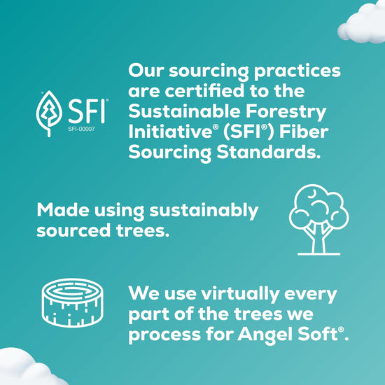 Toilet paper — Soft, strong and septic safe from Angel Soft 2 ply unscented