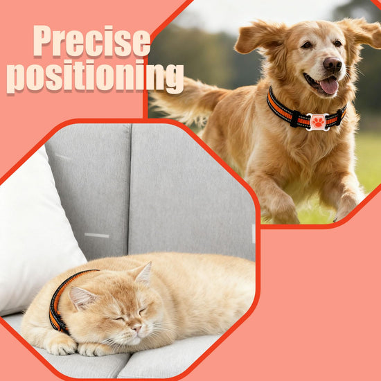 GPS tracker collar — Waterproof real-time tracking for pets and kids