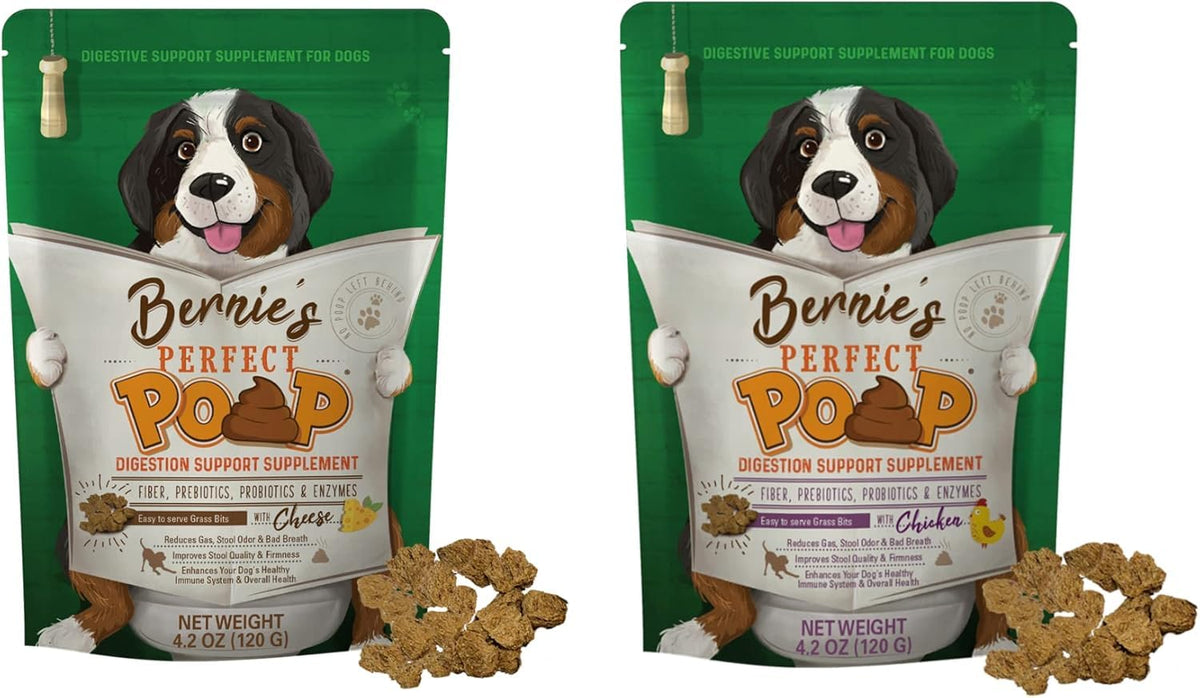 Animal nutritional supplement — Digestive health support for dogs with prebiotics and probiotics