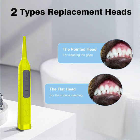 Dental Care Device, 3 Adjustable Modes, Waterproof, USB Rechargeable