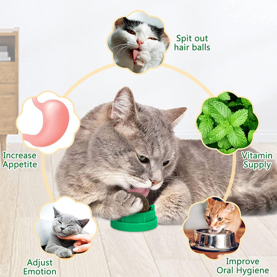 SINROBO 3 Pack Catnip Balls, Catnip Ball for Cats Wall, Edible Kitty Toys for Cats Lick, Safe Healthy Kitten Chew Toys, Teeth Cleaning Dental Cat Toys, Cat Wall Treats (1, Green)