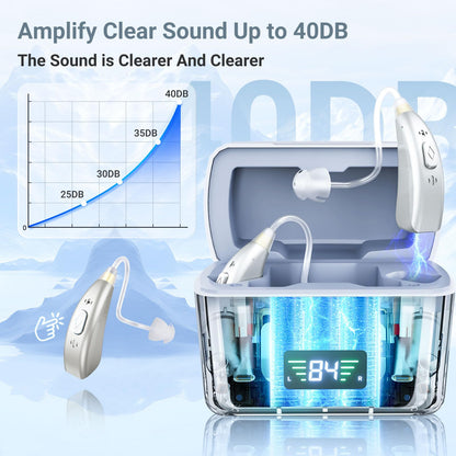 RlsitKee hearing amplifier — portable charging case and rotary volume control