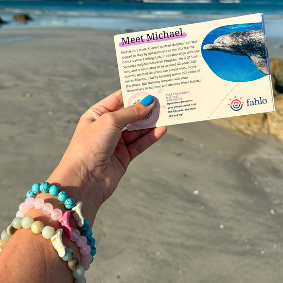 Fahlo dolphin tracking bracelet — supports FIU marine conservation