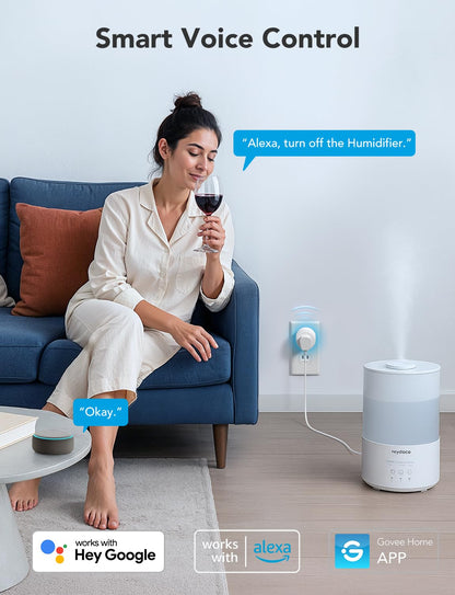 Govee smart plug — WiFi outlet with timer function and group controller