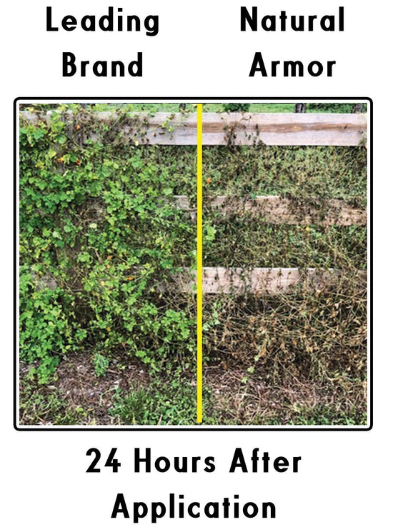 Natural Armor weed and grass killer — all-natural concentrated formula without glyphosate.